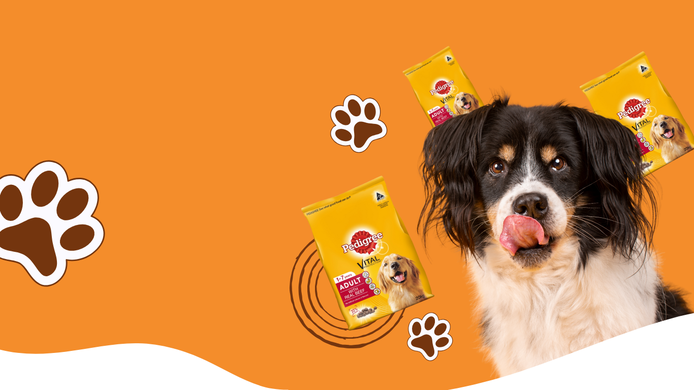 Happy pets enjoying premium food