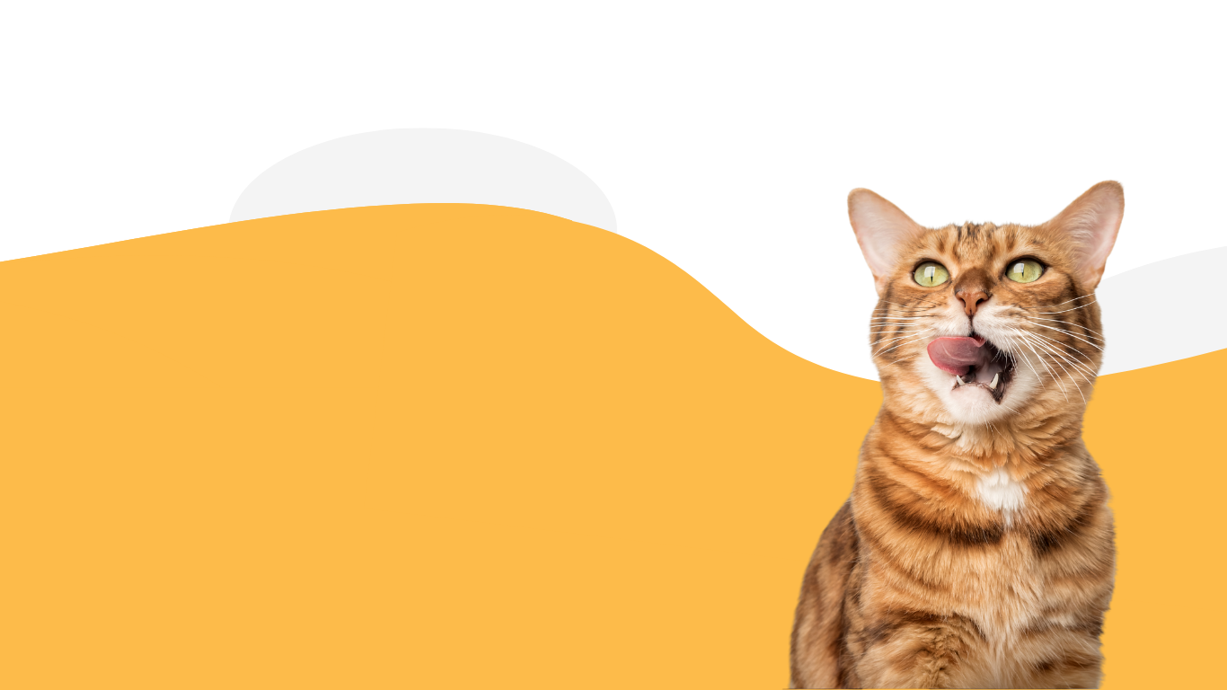 Taste Guarantee background